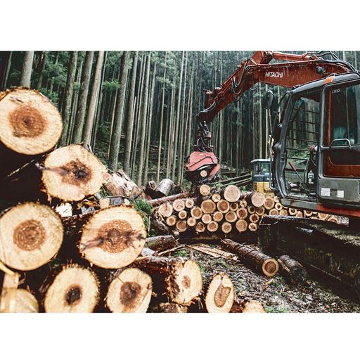 島根産と高知産、ふたつの産地で育まれた国産ひのきの間伐材を使用。<br>※木材の産地は選べません。