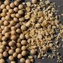 大豆を原料としたソイライスを使用。