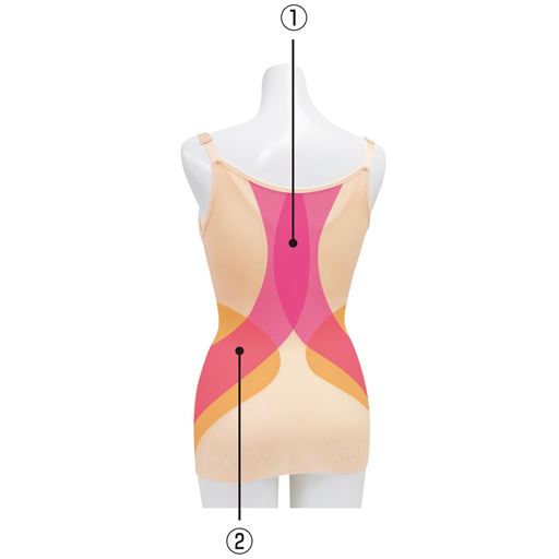 (1)姿勢シャキッ…3枚の補整生地を使用。肩甲骨を寄せ、胸が開くようにサポート。<br>(2)3枚の補整生地で段差の少ないラインをサポート。<br>※色付き部分はサポートイメージ