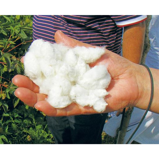 上質な光沢感。シルクのような【超長綿100%】通常の綿より細くて長い、希少価値の高いスビン綿を使用。密に編み立ててもなめらかで厚くなりすぎない、美しい光沢感が品のよさをアピール